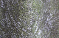 Loch Euphort fibreglass roof work